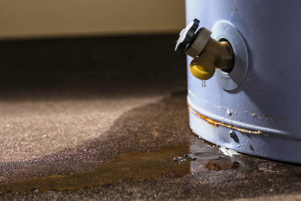 Best Sewage cleanup and water damage restoration  in South Corning, NY