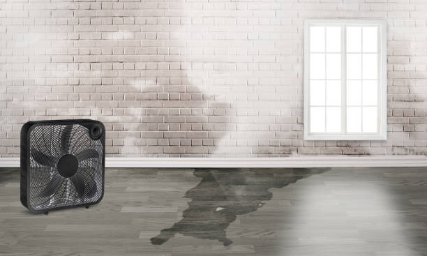 Best 24-hour water damage restoration  in South Corning, NY