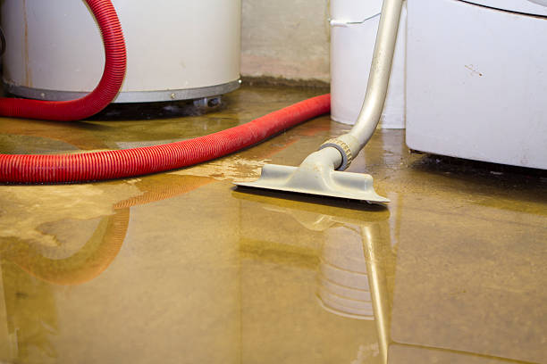 Water damage restoration experts in NY