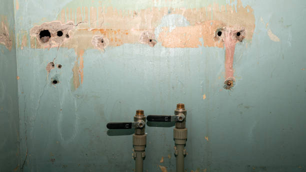 Best Local water damage restoration  in South Corning, NY