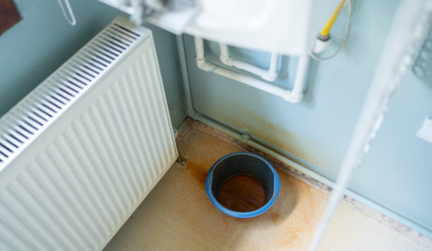 Best Water damage restoration process  in South Corning, NY