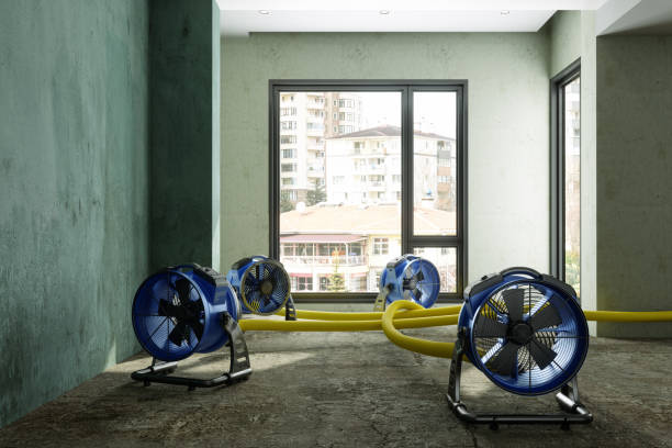 Best Basement water damage restoration  in South Corning, NY